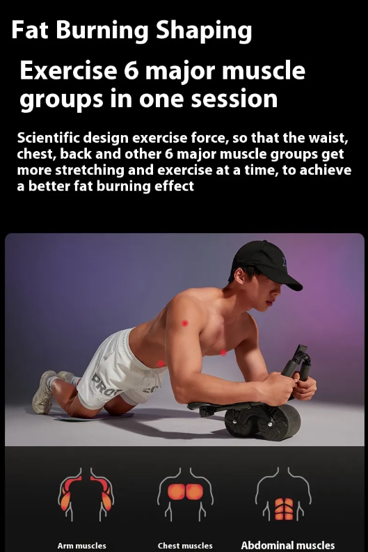 Automatic Rebound Ab Wheel Core Workout Trainer by DropShop
