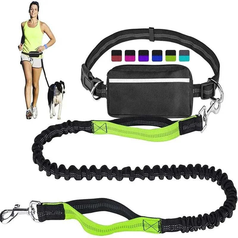 Hands-Free Dog Running Leash by DropShop