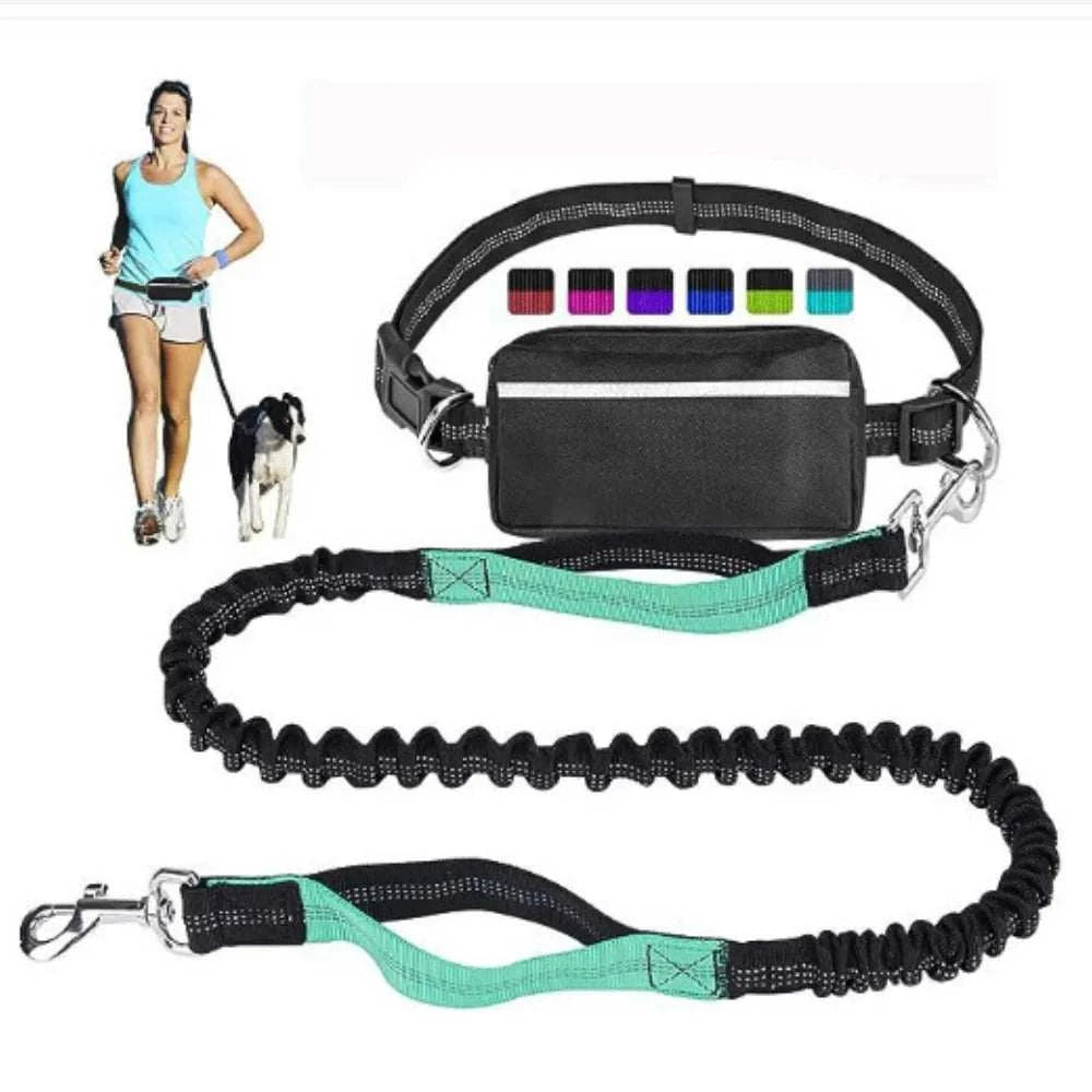 Hands-Free Dog Running Leash by DropShop