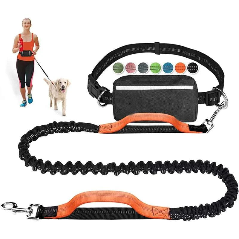 Hands-Free Dog Running Leash by DropShop