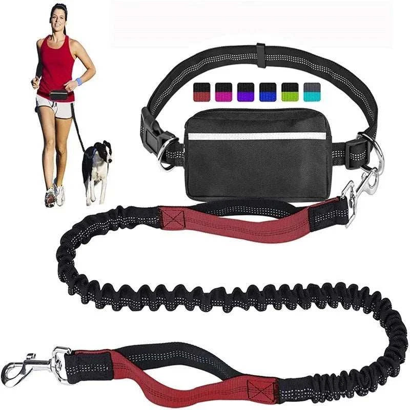 Hands-Free Dog Running Leash by DropShop